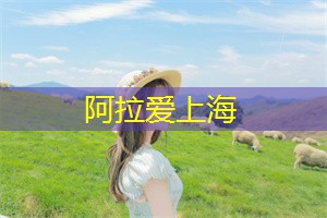 爱上海后花园：数字科技已经改变了人们的生活方式