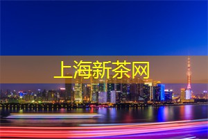 爱上海：工作室是做什么的